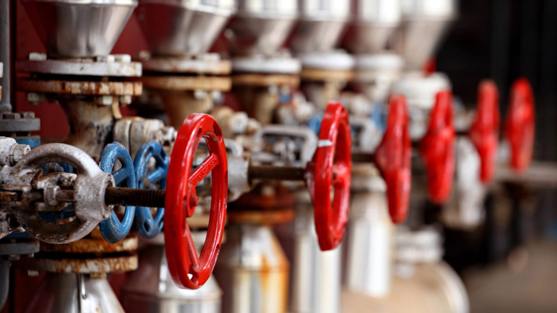 Close-up of industrial pipes and valves with red and blue wheel handles aligned in a row.